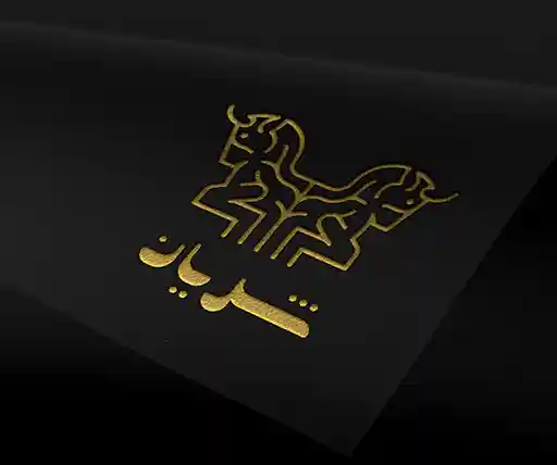 طراحی لوگو شرکت بازرگانی شریان تجارت پارس